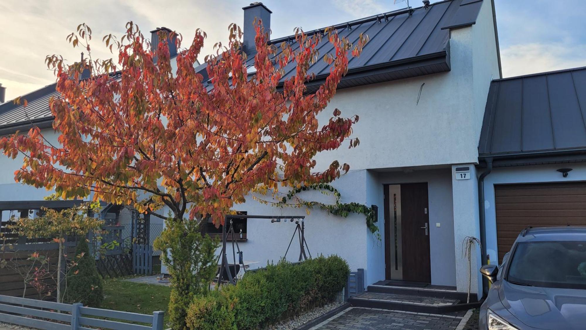 Dom Blizniak Z Sauna Dla 6 Osob W Promieniu 25km Gdynia Polwysep I Otwarte Morze Jeziora Lasy Holiday home *